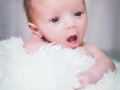 _59A8024-Modifier