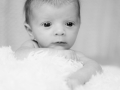 _59A8026-Modifier